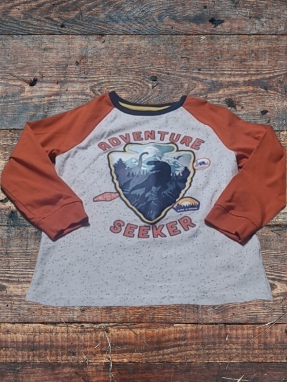 BOY'S 365KIDS DINOSAUR LONGSLEEVE SHIRT